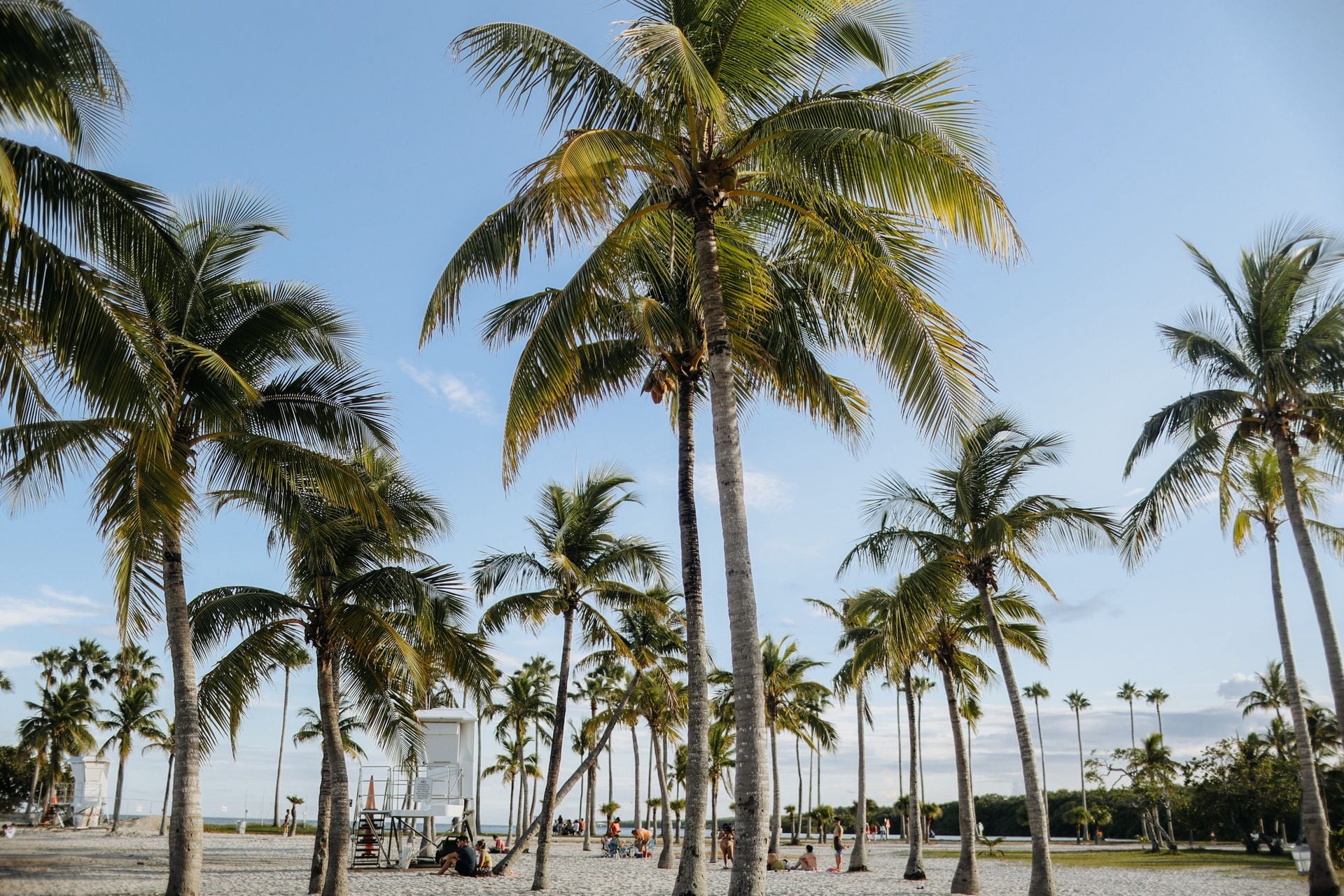 What Should You Know Before Moving to Miami?